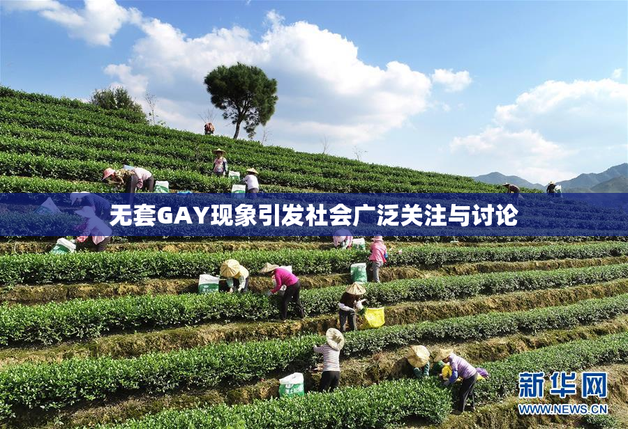 无套GAY现象引发社会广泛关注与讨论