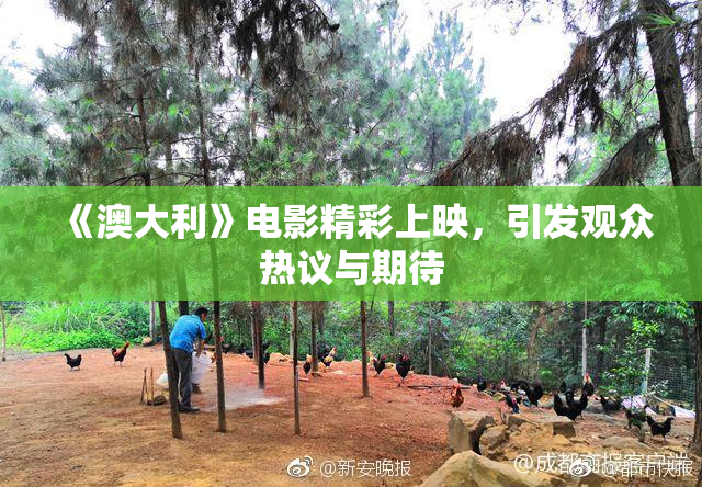 《澳大利》电影精彩上映，引发观众热议与期待