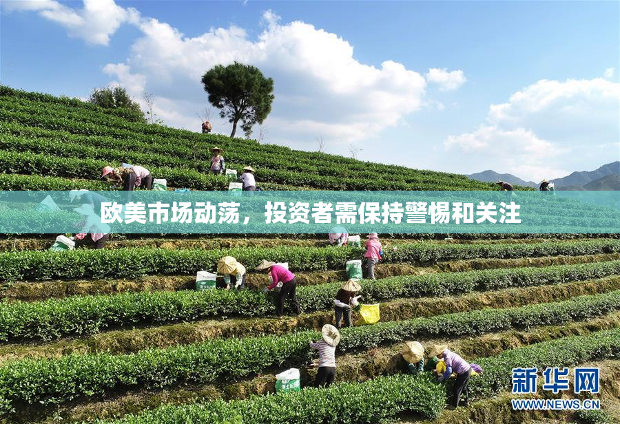 欧美市场动荡，投资者需保持警惕和关注