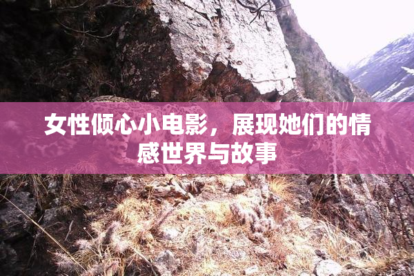 女性倾心小电影，展现她们的情感世界与故事
