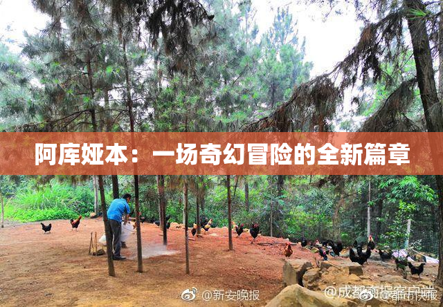 阿库娅本：一场奇幻冒险的全新篇章