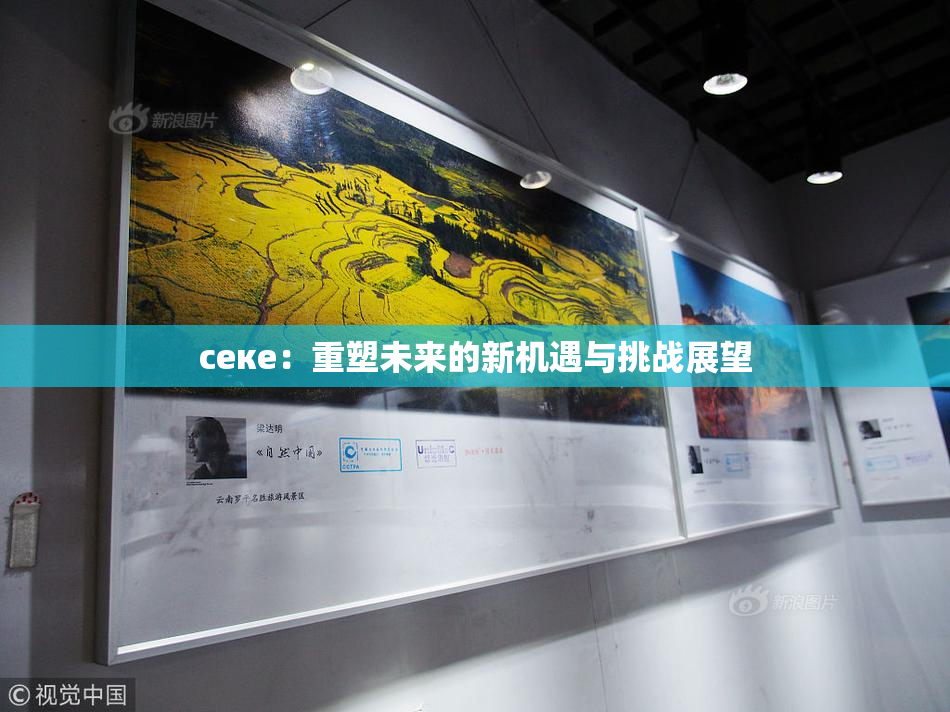 ceке：重塑未来的新机遇与挑战展望