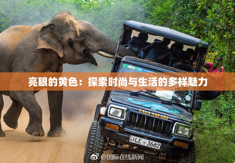 亮眼的黄色：探索时尚与生活的多样魅力