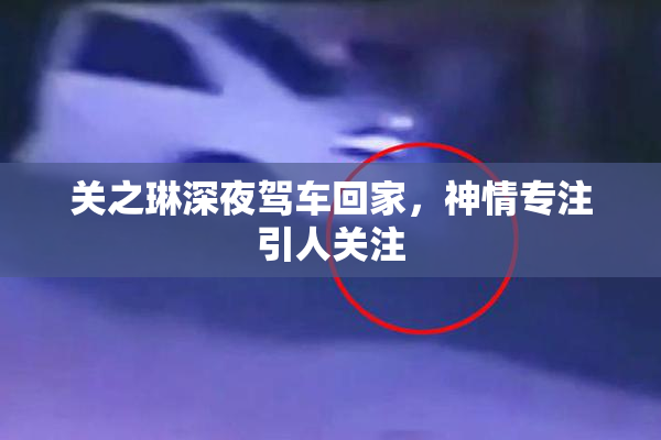 关之琳深夜驾车回家，神情专注引人关注