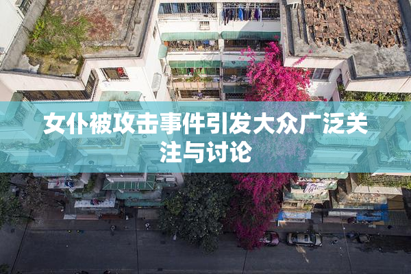 女仆被攻击事件引发大众广泛关注与讨论
