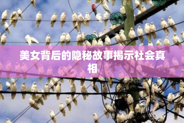 美女背后的隐秘故事揭示社会真相
