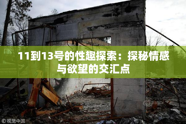 11到13号的性趣探索：探秘情感与欲望的交汇点