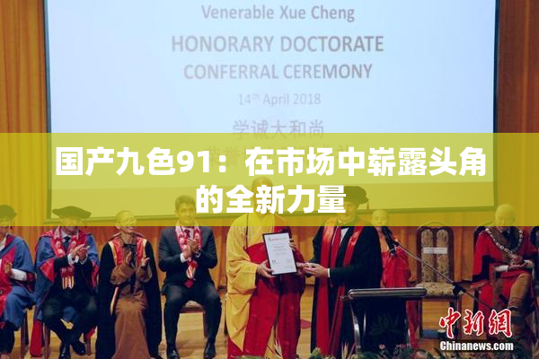 国产九色91：在市场中崭露头角的全新力量