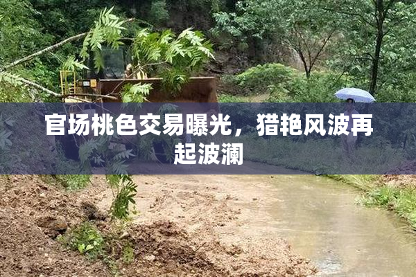 官场桃色交易曝光，猎艳风波再起波澜