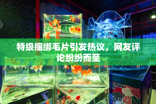 特级捆绑毛片引发热议，网友评论纷纷而至