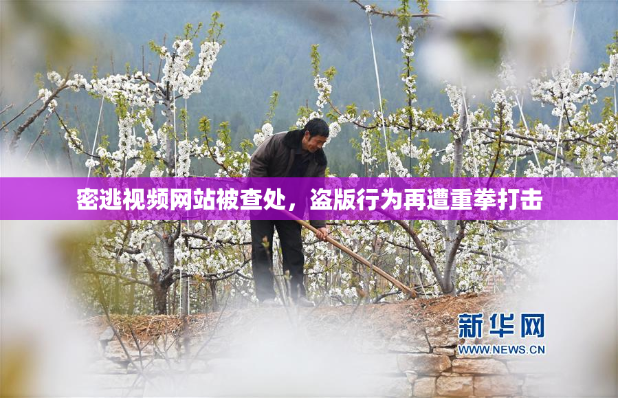 密逃视频网站被查处，盗版行为再遭重拳打击