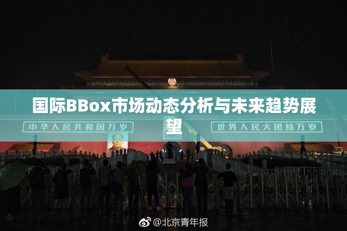 国际BBox市场动态分析与未来趋势展望