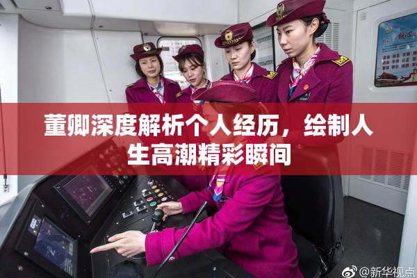 董卿深度解析个人经历，绘制人生高潮精彩瞬间