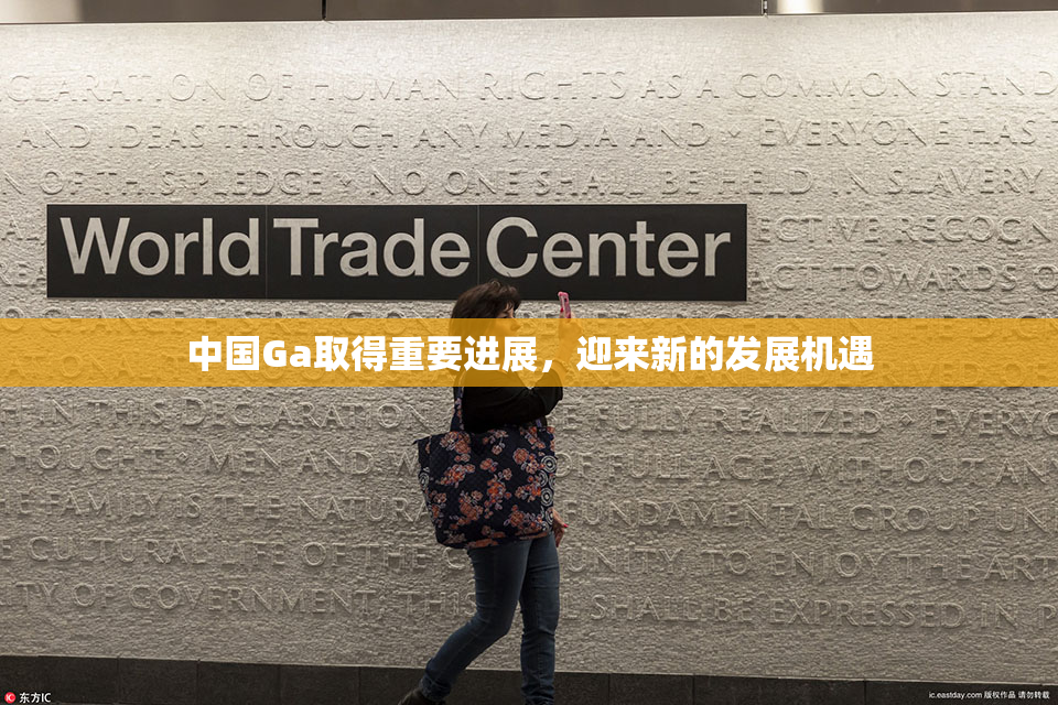 中国Ga取得重要进展，迎来新的发展机遇