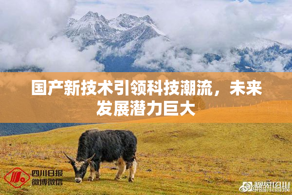 国产新技术引领科技潮流，未来发展潜力巨大