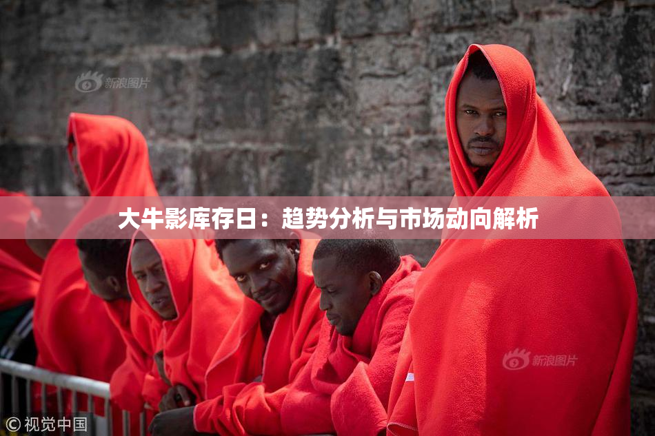 大牛影库存日：趋势分析与市场动向解析