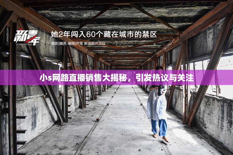 小s网路直播销售大揭秘，引发热议与关注