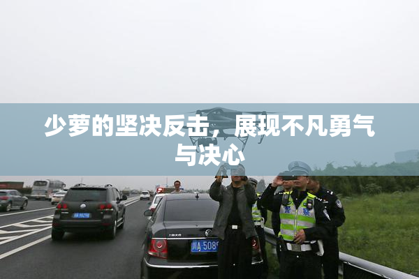 少萝的坚决反击，展现不凡勇气与决心