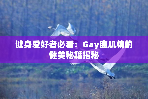 健身爱好者必看：Gay腹肌精的健美秘籍揭秘