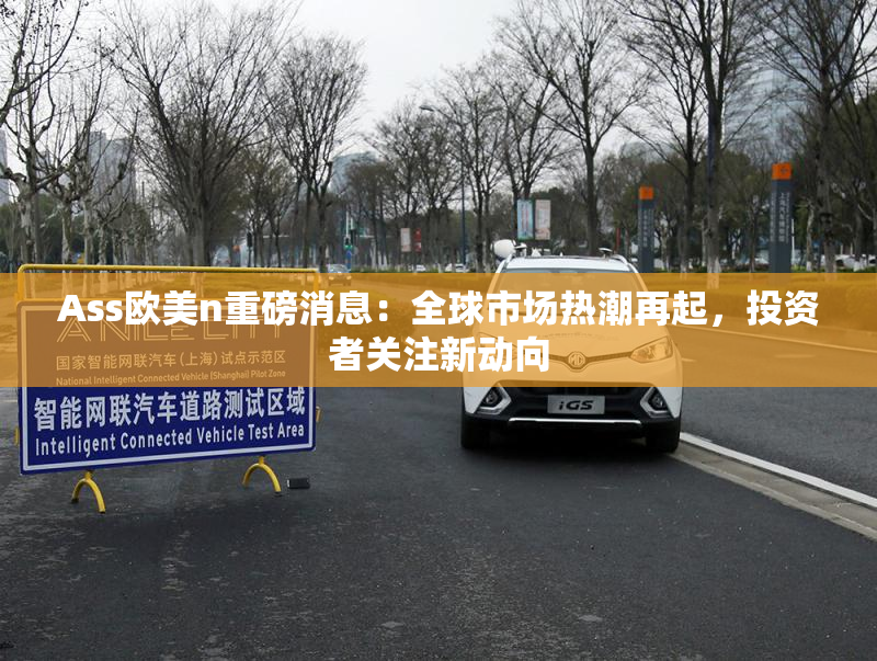 Ass欧美n重磅消息：全球市场热潮再起，投资者关注新动向