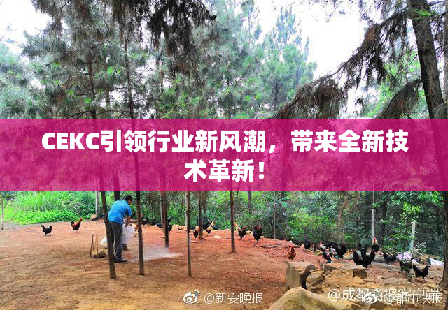 CEKC引领行业新风潮，带来全新技术革新！