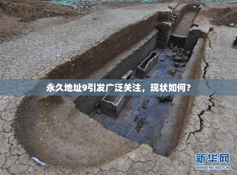 永久地址9引发广泛关注，现状如何？