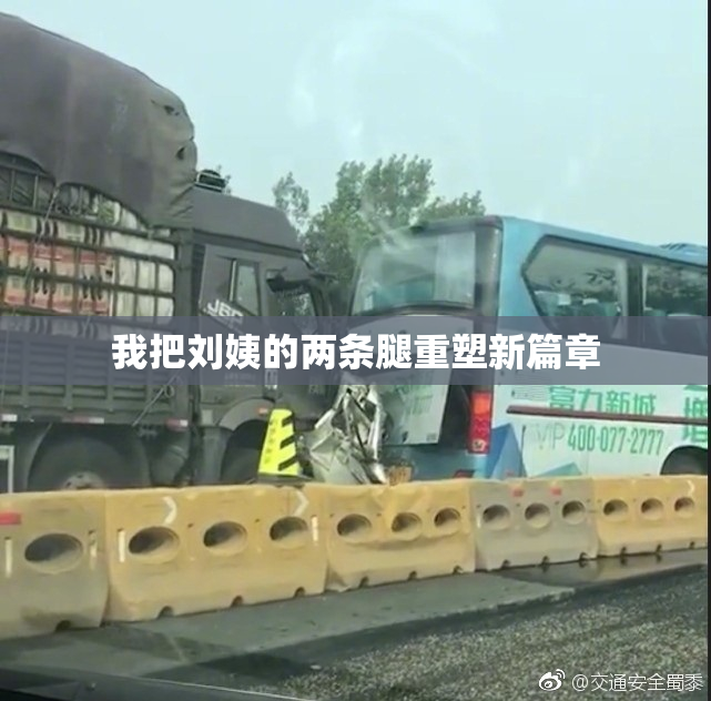 我把刘姨的两条腿重塑新篇章