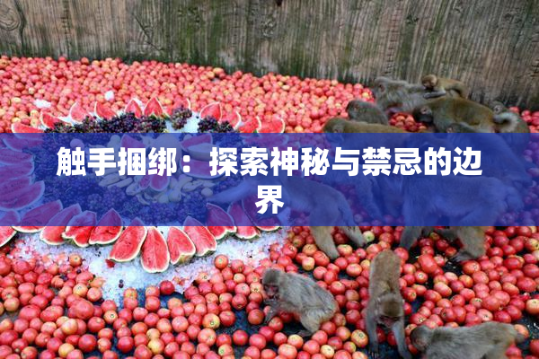 触手捆绑：探索神秘与禁忌的边界