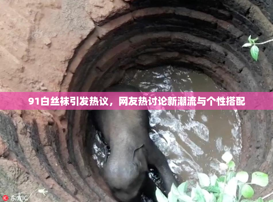 91白丝袜引发热议，网友热讨论新潮流与个性搭配