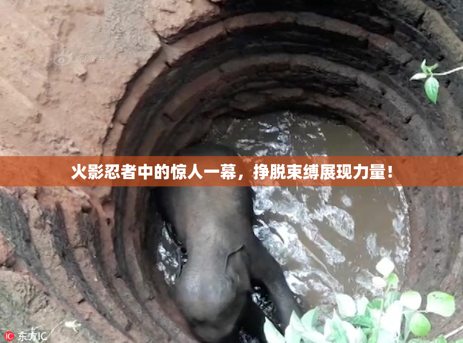 火影忍者中的惊人一幕，挣脱束缚展现力量！
