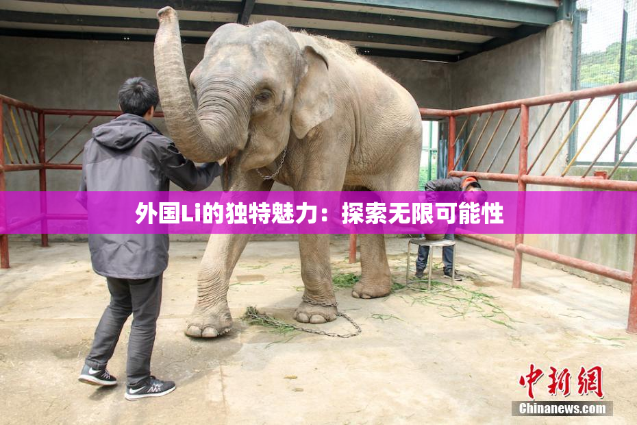 外国Li的独特魅力：探索无限可能性