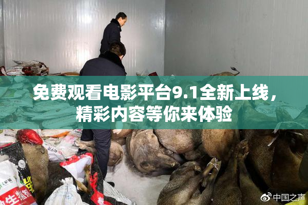 免费观看电影平台9.1全新上线，精彩内容等你来体验