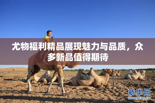 尤物福利精品展现魅力与品质，众多新品值得期待