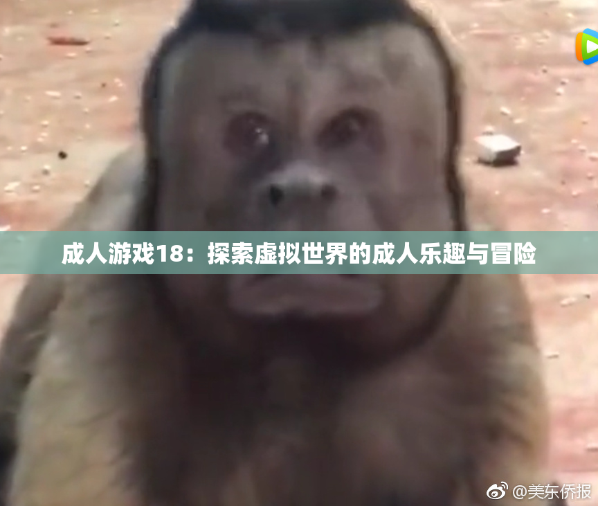 成人游戏18：探索虚拟世界的成人乐趣与冒险