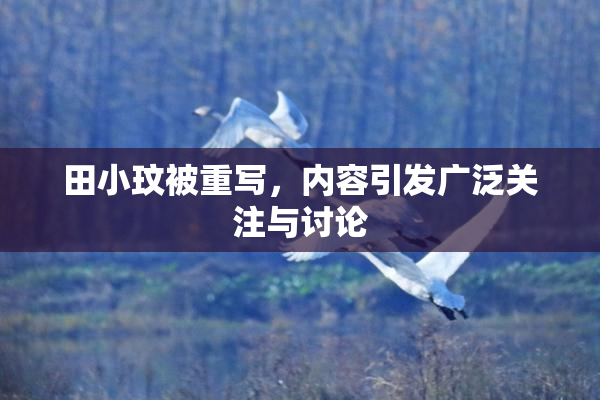 田小玟被重写，内容引发广泛关注与讨论