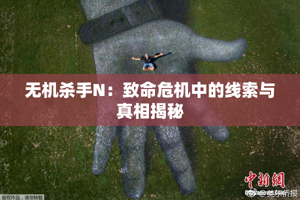 无机杀手N：致命危机中的线索与真相揭秘