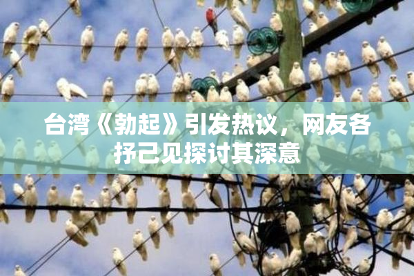 台湾《勃起》引发热议，网友各抒己见探讨其深意