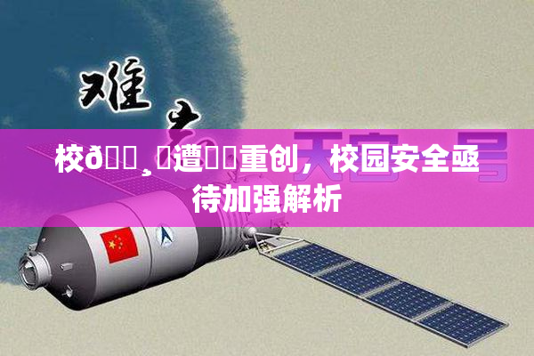 校🌸‌遭❌‌重创，校园安全亟待加强解析