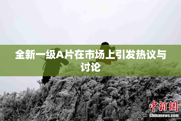全新一级A片在市场上引发热议与讨论