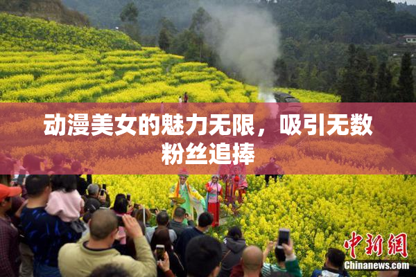 动漫美女的魅力无限，吸引无数粉丝追捧