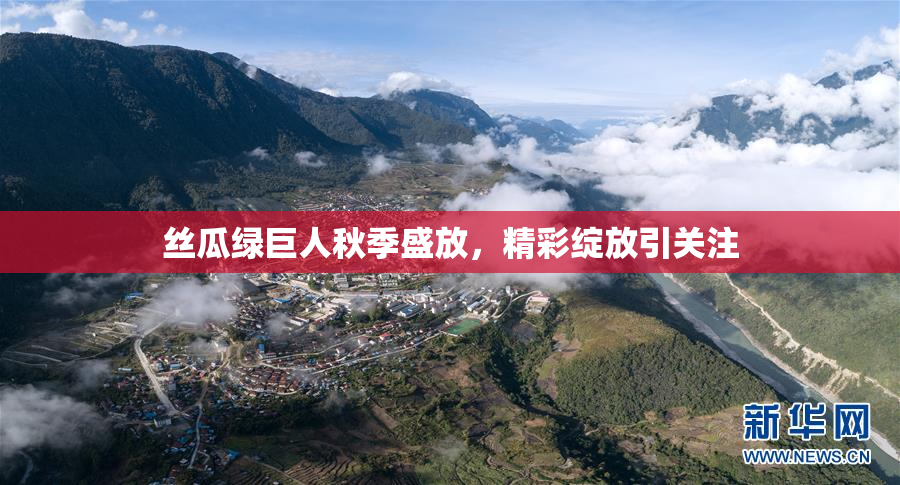 丝瓜绿巨人秋季盛放，精彩绽放引关注