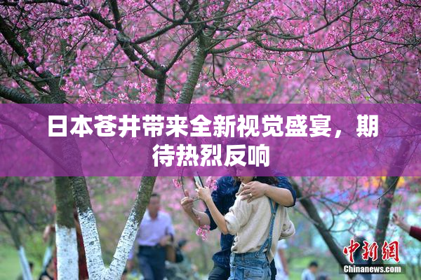 日本苍井带来全新视觉盛宴，期待热烈反响