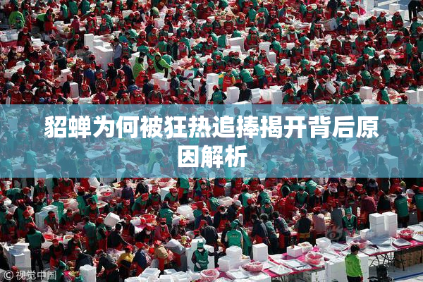 貂蝉为何被狂热追捧揭开背后原因解析