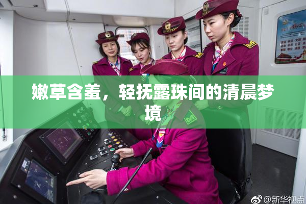 嫩草含羞，轻抚露珠间的清晨梦境