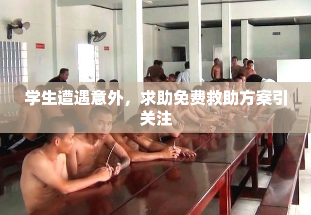 学生遭遇意外，求助免费救助方案引关注
