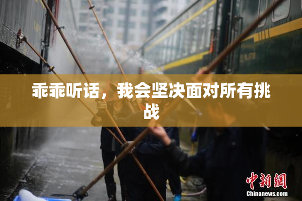 乖乖听话，我会坚决面对所有挑战