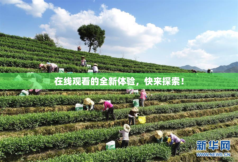 在线观看的全新体验，快来探索！