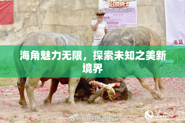 海角魅力无限，探索未知之美新境界