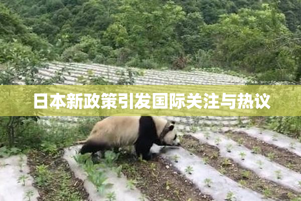 日本新政策引发国际关注与热议