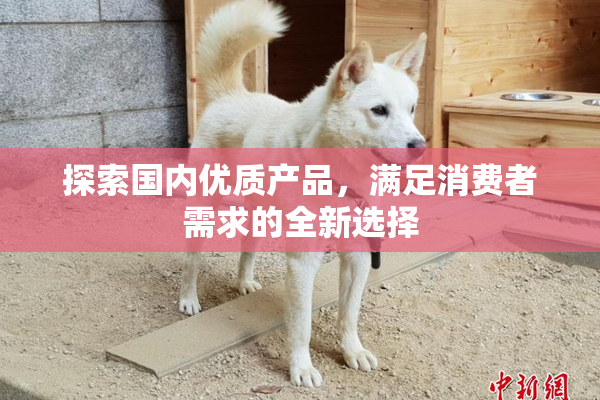 探索国内优质产品，满足消费者需求的全新选择